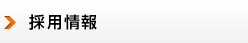 採用情報